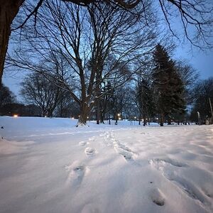 Meet your Posher, Karen